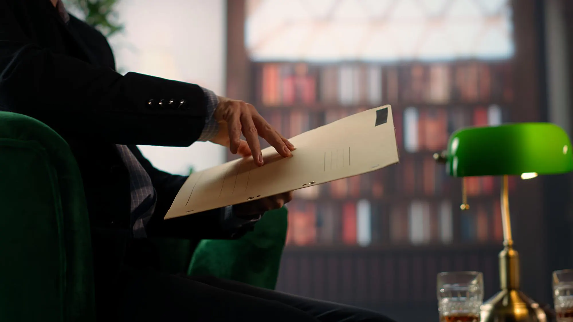 Expert Witness Services